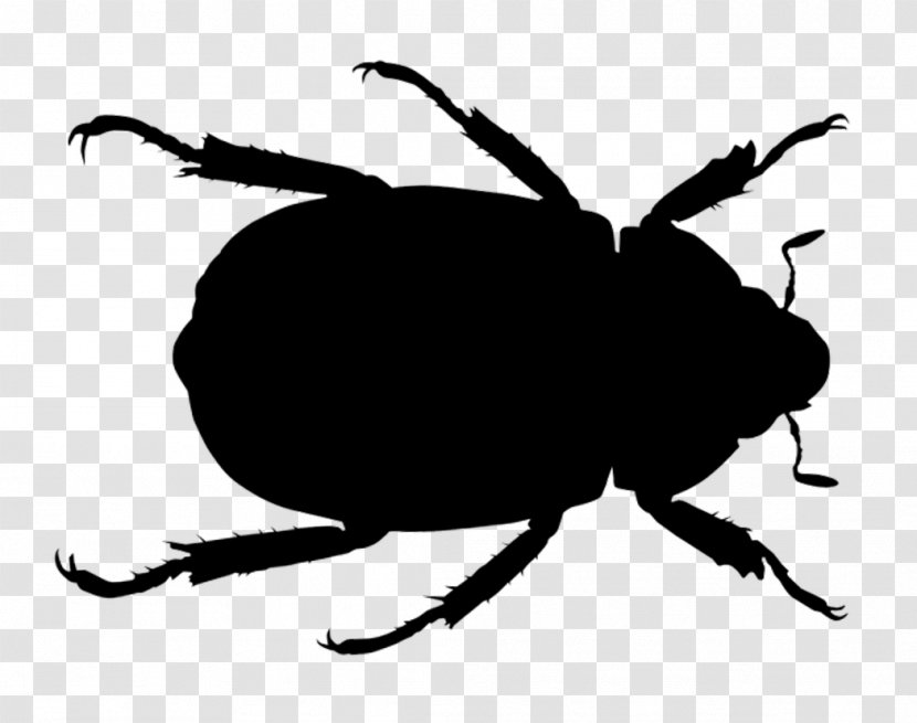 Human Voice Speech Word Conversation Thought - Dung Beetle Transparent PNG