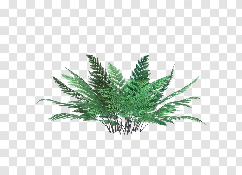 Download Leaf - Cartoon - Flower Transparent PNG