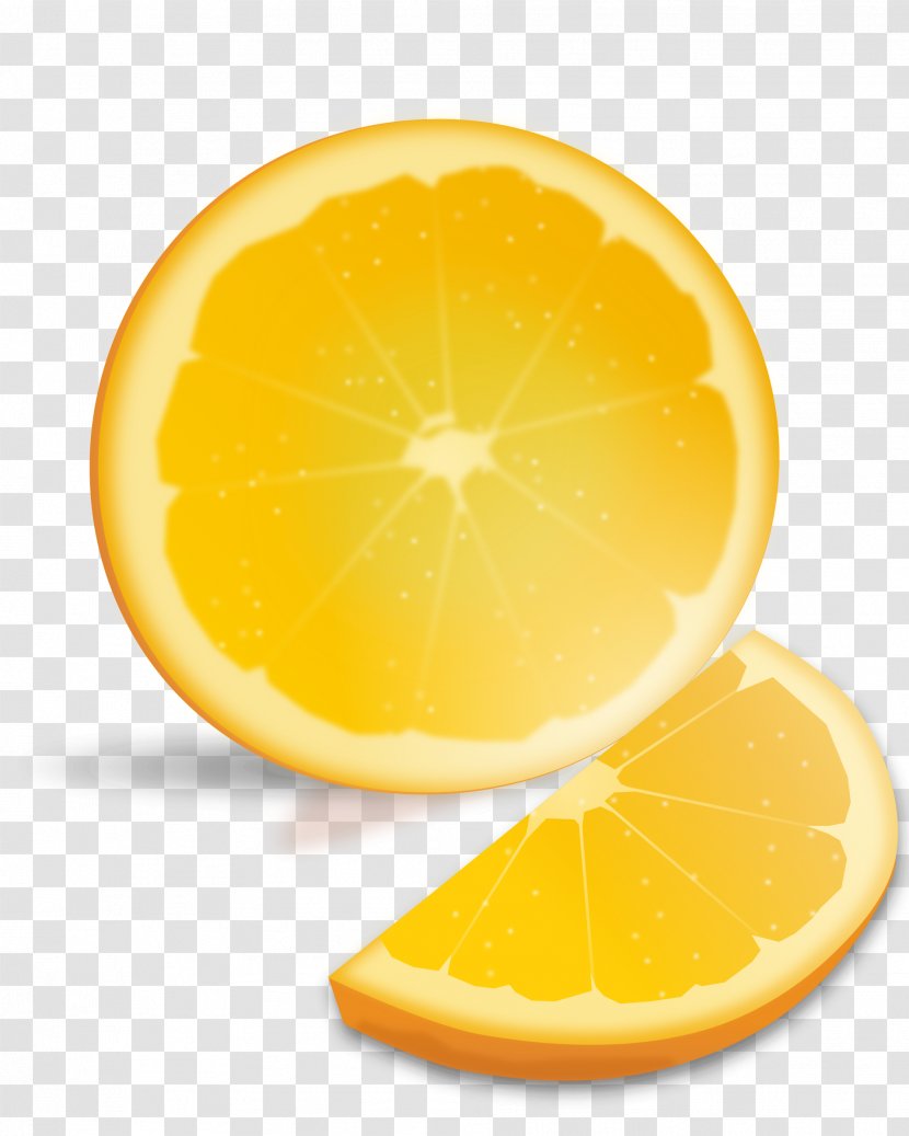 Orange Juice Valencia Lemon Grapefruit - Citrus - Transparent Transparent PNG
