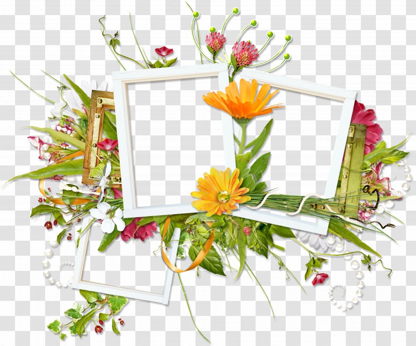 Floral Design Picture Frames Scrapbooking Flower Bouquet - Flora Transparent PNG