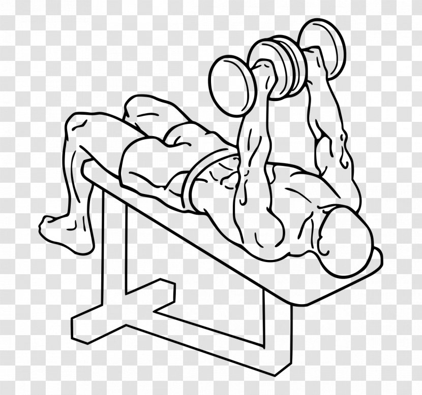 Bench Press Physical Exercise Dumbbell Overhead - Cartoon Transparent PNG