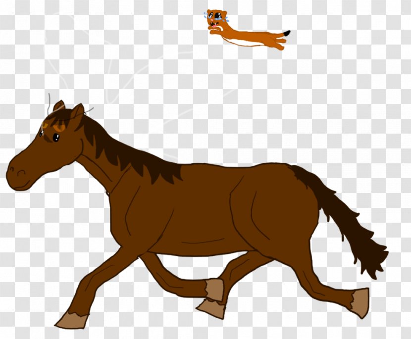 Mane Mustang Stallion Foal Colt - Yonni Meyer Transparent PNG