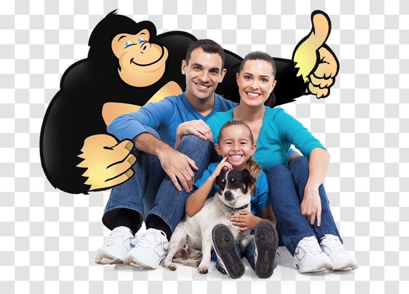 Photography Dog Royalty-free - Can Stock Photo Transparent PNG