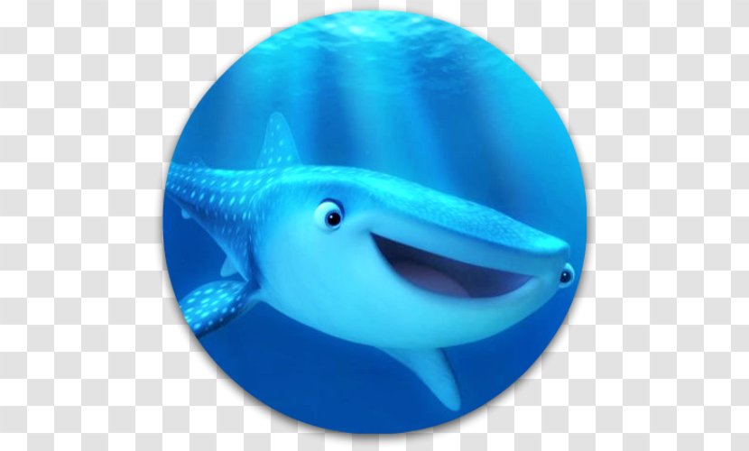 Pixar Marine Mammal Biology Whale - Whales Dolphins And Porpoises Transparent PNG
