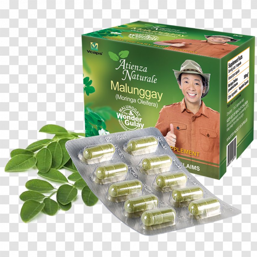 Dietary Supplement Capsule Drumstick Tree ATIENZA NATURALE INC Pharmaceutical Drug - Keyword Tool - Malunggay Transparent PNG