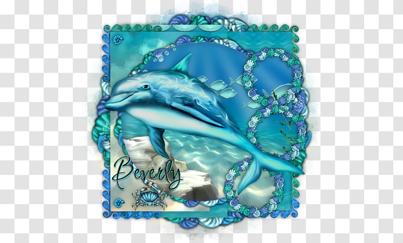 Dolphin Aqua Turquoise Cobalt Blue Teal - Organism - Under Sea Transparent PNG
