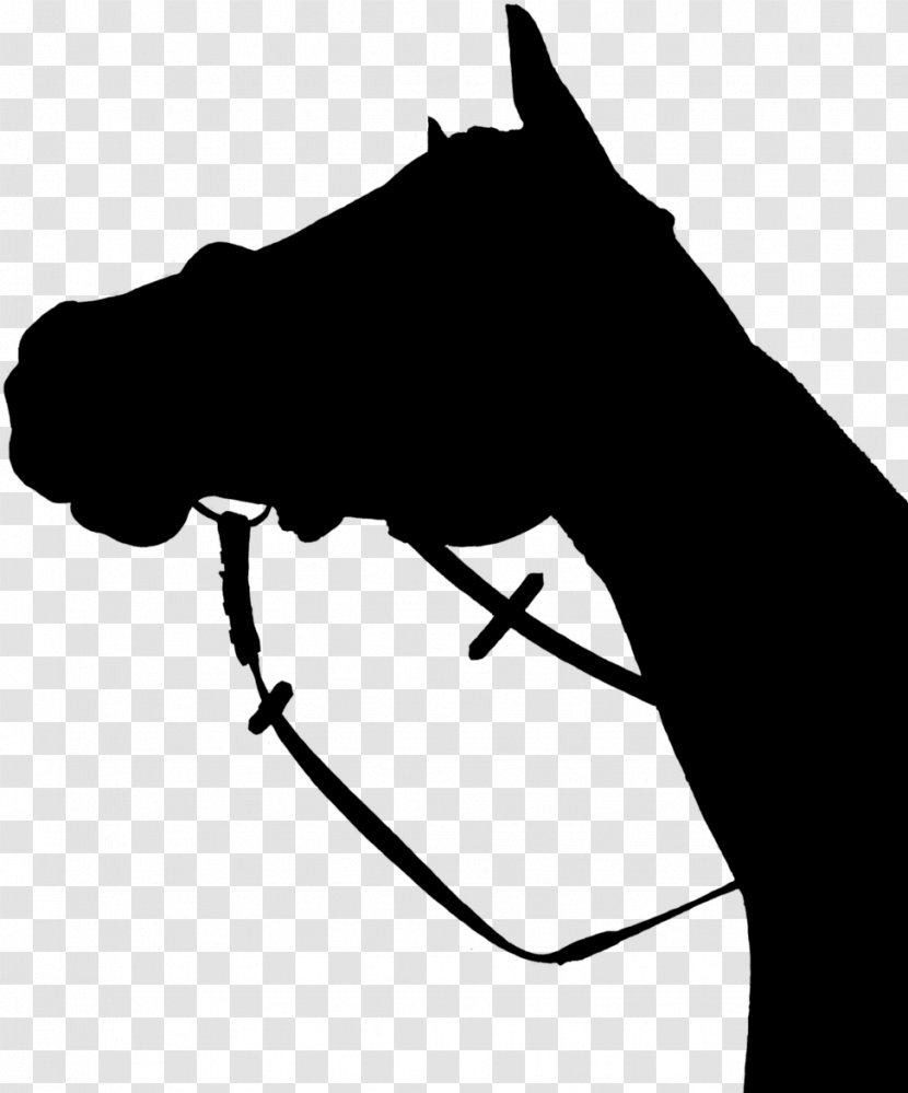 Head Line Art Black-and-white Horse Snout - Hand Silhouette Transparent PNG