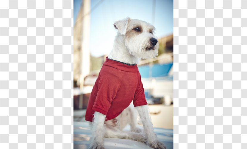 Dog Breed Companion Clothes Snout Transparent PNG