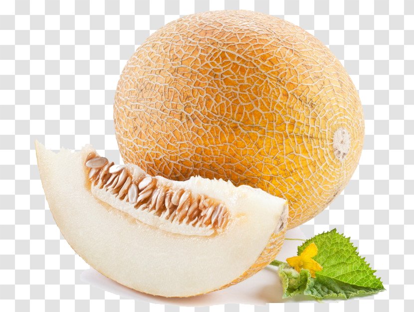 Honeydew Cantaloupe Hami Melon Cucurbita Pepo - Cucumber Gourd And Family Transparent PNG