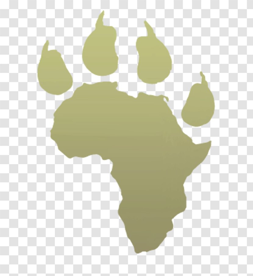 African Union Commission Angola Pan-Africanism Member States Of The - Central Africa - Print Transparent PNG