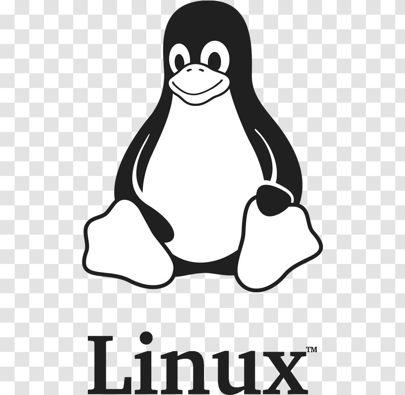 Computer File Backblaze Retrospect Remote Backup Service - Black And White - Pinguim Linux Transparent PNG