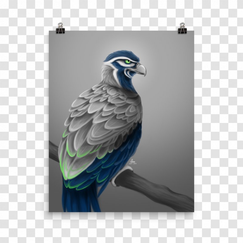 Seattle Seahawks Macaw Bird Of Prey Art - Beak Transparent PNG