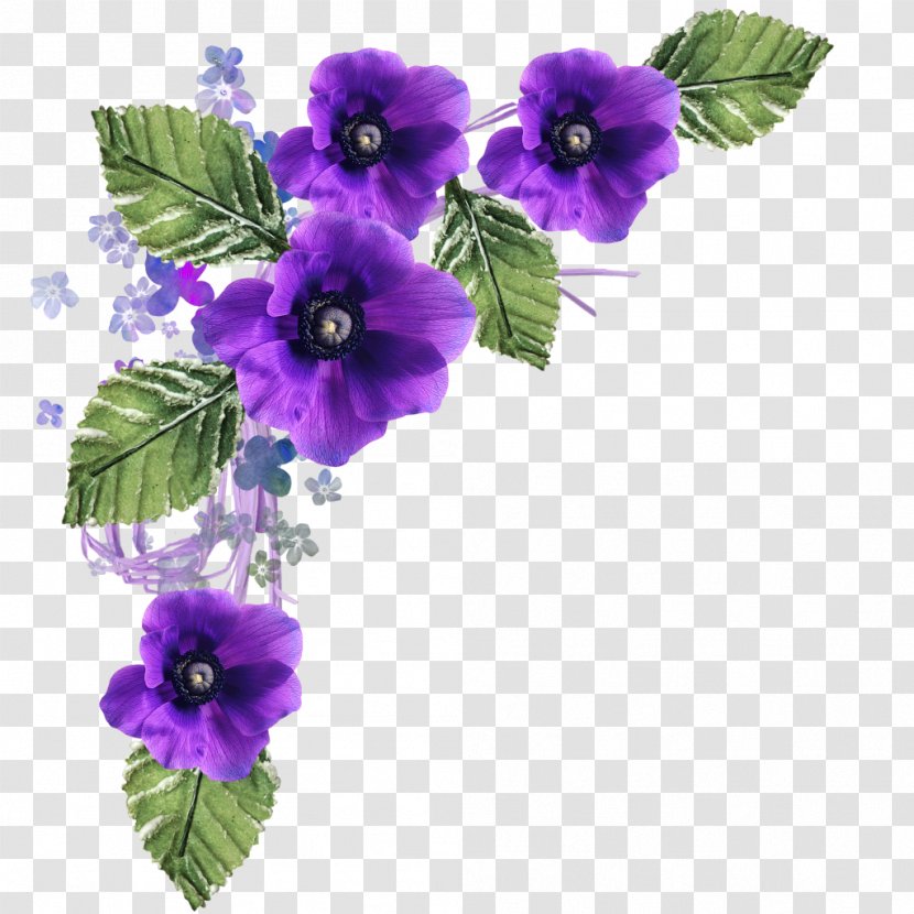 Flower Purple Clip Art - Malvales - Flowers Transparent PNG