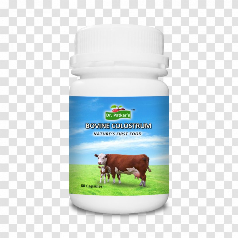 Cattle Colostrum Dietary Supplement Capsule Childbirth - Pregnancy - Snout Transparent PNG