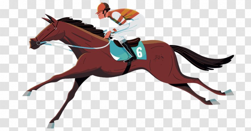 Pony English Riding Mustang Rein Stallion - Jockey Transparent PNG