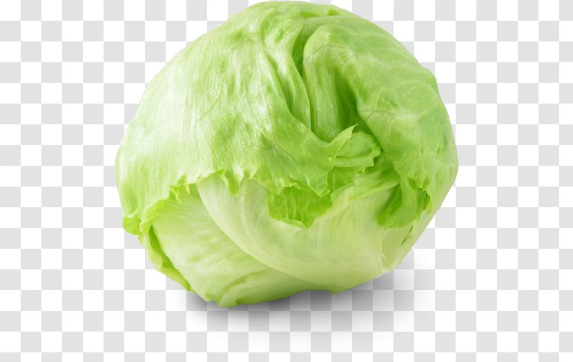 Iceberg Lettuce Organic Food Vegetable Salad Grocery Store - Kohlrabi Transparent PNG