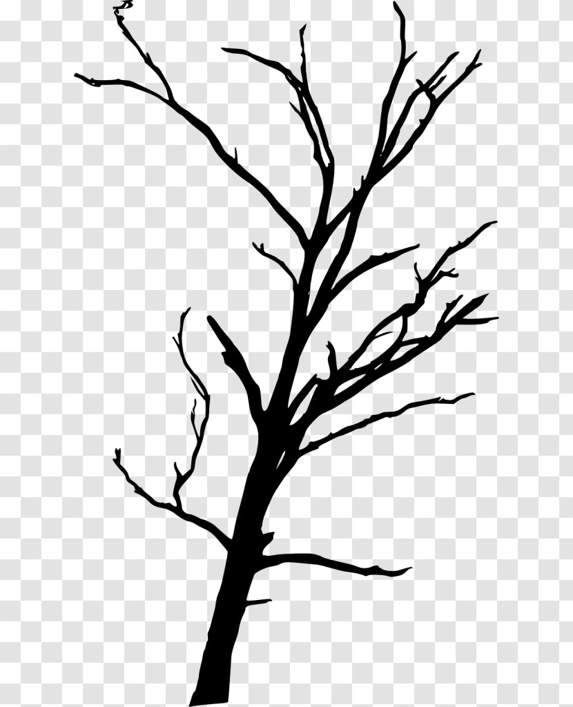 Twig Drawing Clip Art - Flower - Silhouette Transparent PNG