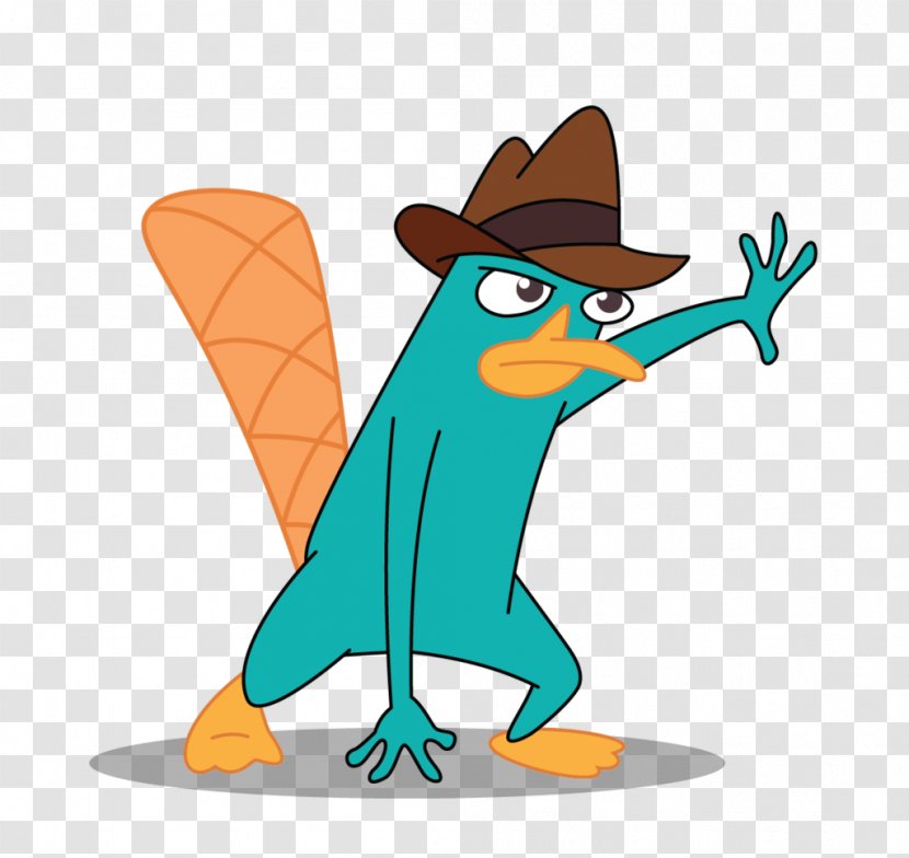 Perry The Platypus Phineas Flynn Ferb Fletcher Dr. Heinz Doofenshmirtz - Bird - Cartoon Transparent PNG