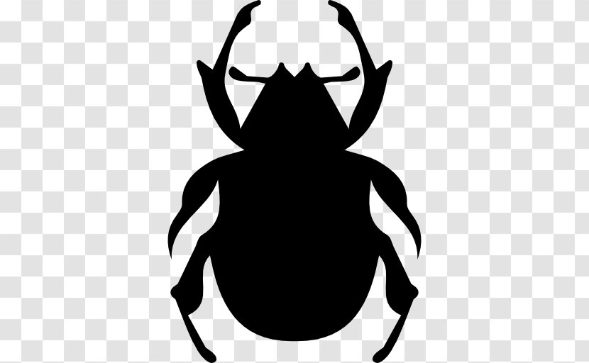 Rhinoceros Beetles Cockroach - Giant Stag - Beetle Transparent PNG