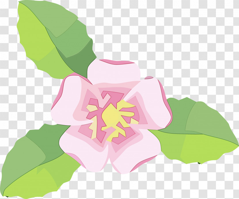 Floral Design Transparent PNG