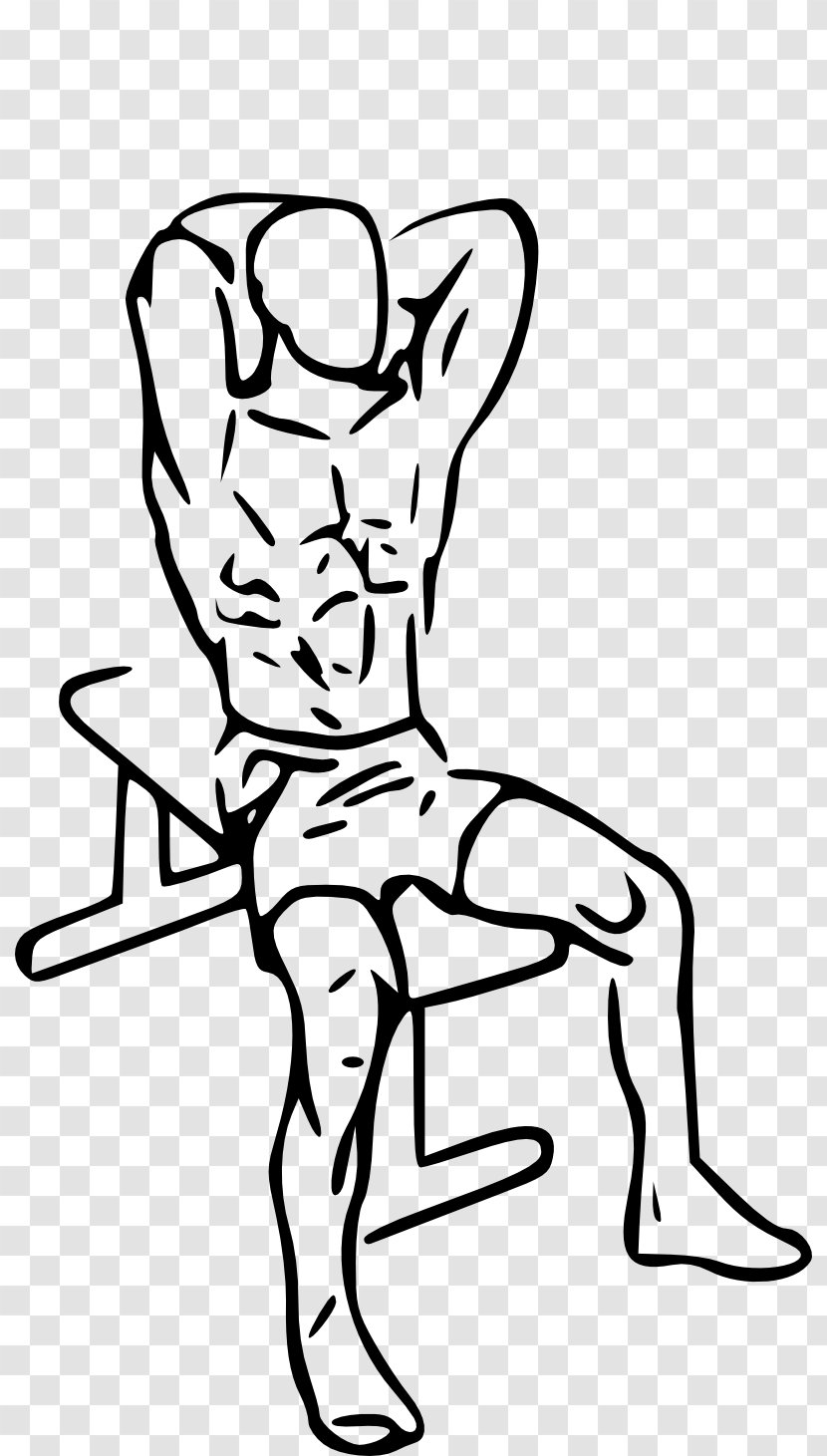 Triceps Brachii Muscle Lying Extensions Biceps Exercise - Cartoon - Arm Transparent PNG