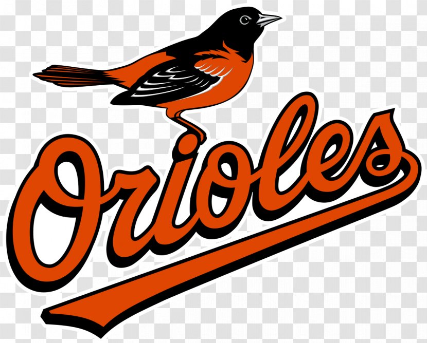 Oriole Park At Camden Yards Baltimore Orioles MLB Spring Training Washington Nationals - Bird - Baseball Transparent PNG