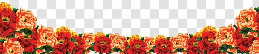 Chrysanthemum Plant Computer File - Flowering Transparent PNG