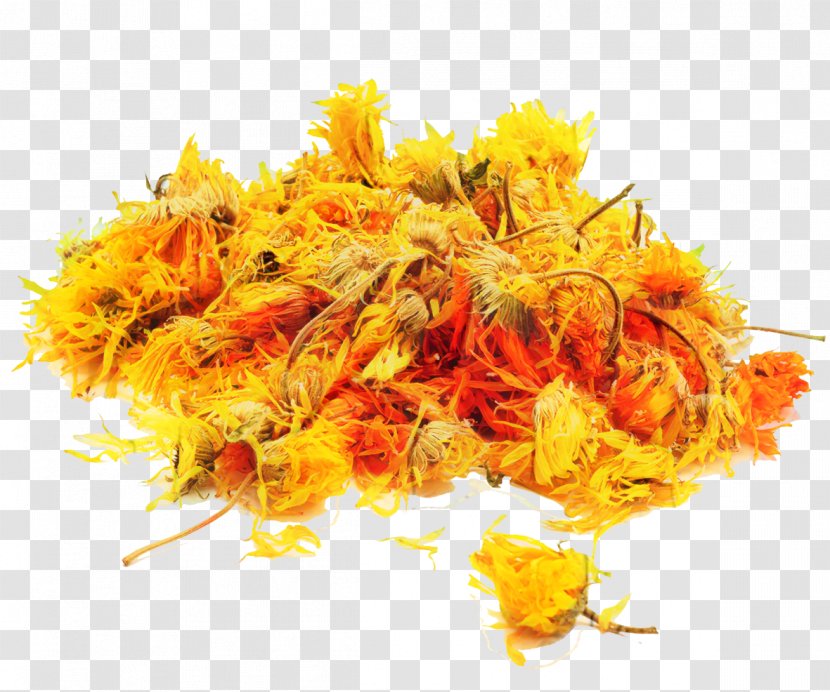 Pot Marigold Herb Stock Photography Medicinal Plants - Seed - Cuisine Transparent PNG