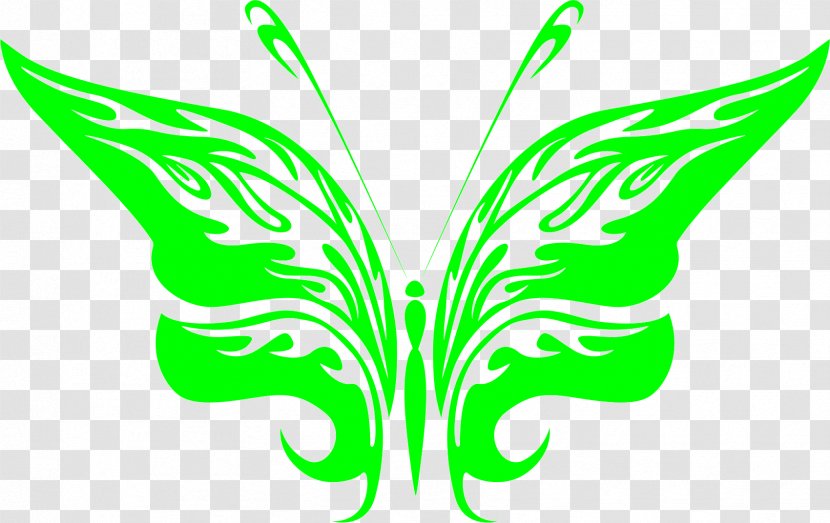 Butterfly Vector Graphics AutoCAD DXF Image Drawing Transparent PNG