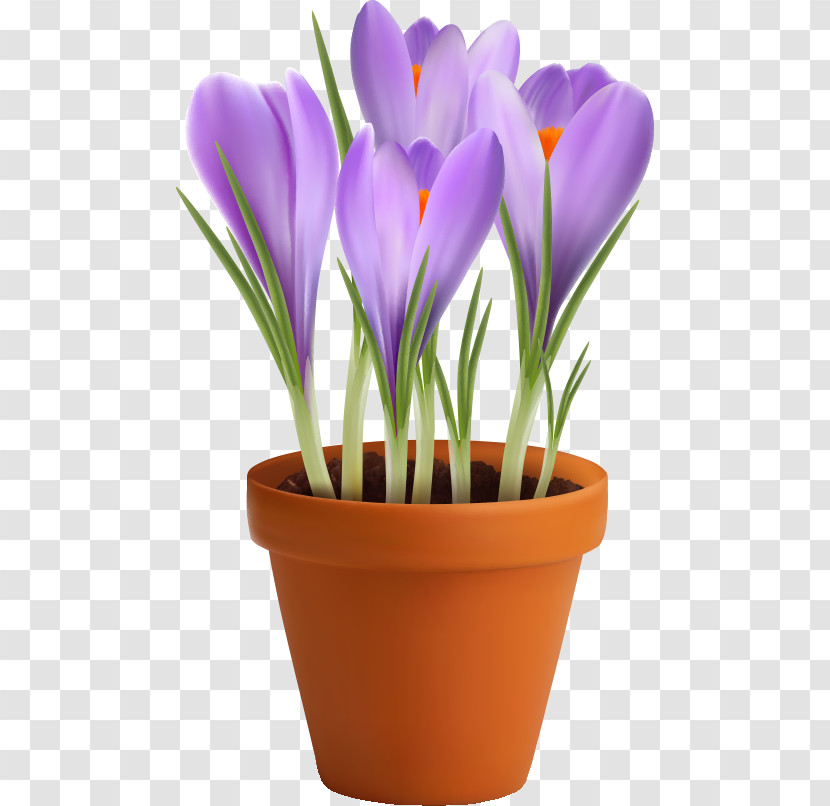 Flower Floral Vase Transparent PNG