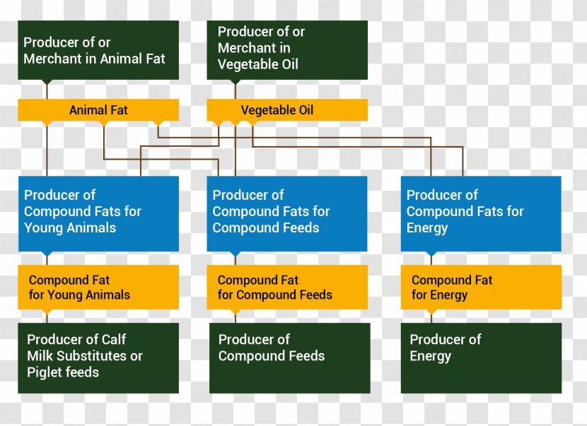 Flowchart Diagram Animal Fat Food - Chart - Oleochemical Transparent PNG