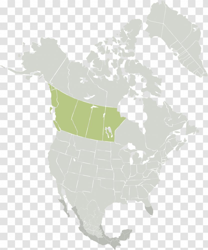 United States Blank Map Mexico Kropf Industrial Inc. Transparent PNG