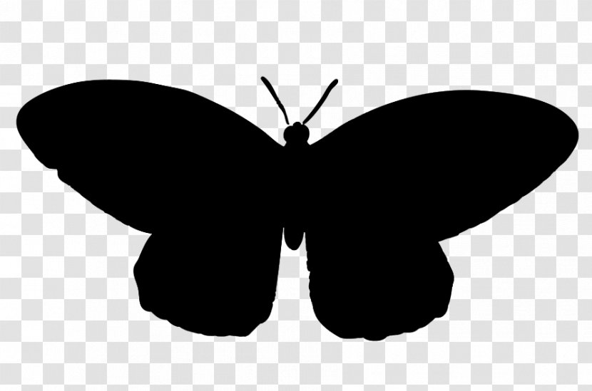 Brush-footed Butterflies Moth Clip Art Silhouette M. Butterfly - Black - Brushfooted Transparent PNG