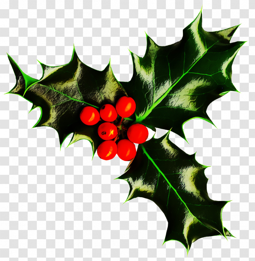 Holly Christmas Transparent PNG