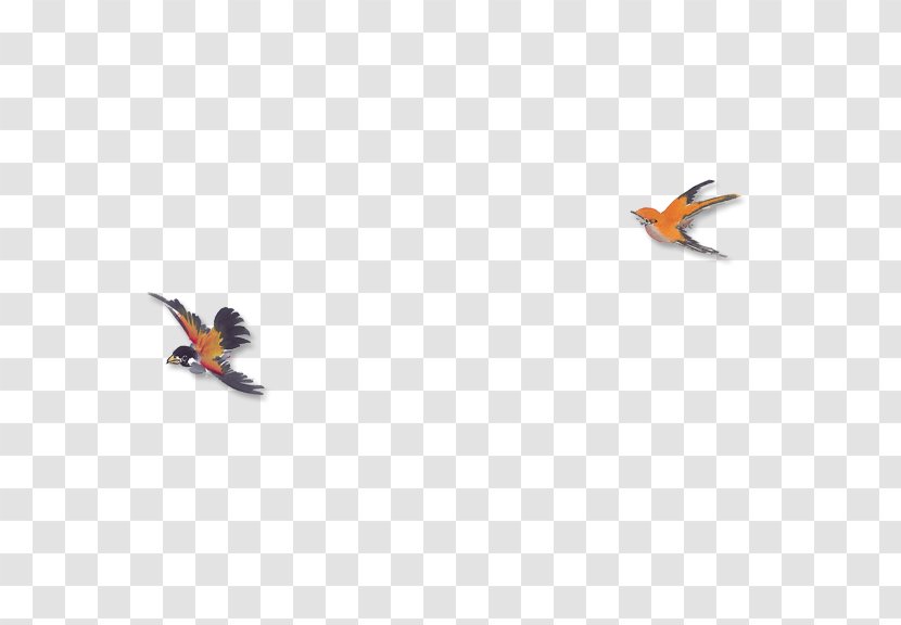 Mandarin Duck Mergini - Flying Transparent PNG