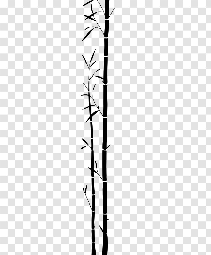 Tropical Woody Bamboos Silhouette - Art - Bamboo Clipart Transparent PNG