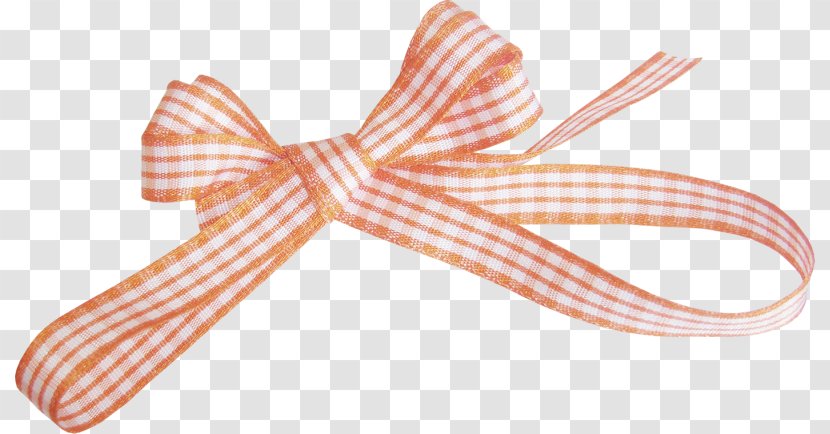 Ribbon Gift Image Bow Tie - Summer Day Janet Scott Transparent PNG