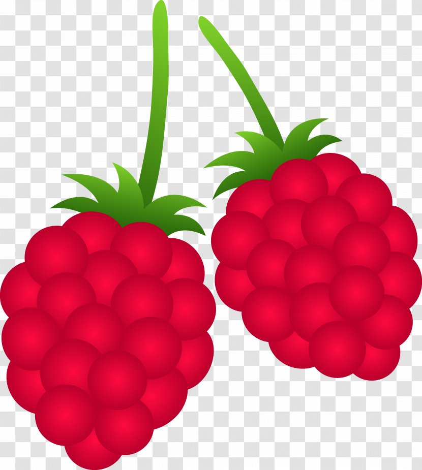 Raspberry Fruit Clip Art - Frutti Di Bosco - Berry Cliparts Transparent PNG