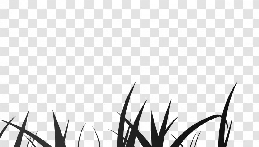 Twig Plant Stem Grasses White Leaf - Grass - Unfair Transparent PNG