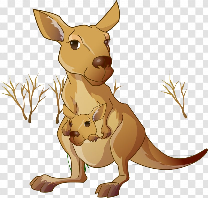 Red Kangaroo Macropodidae Cartoon - Mom And Child Transparent PNG