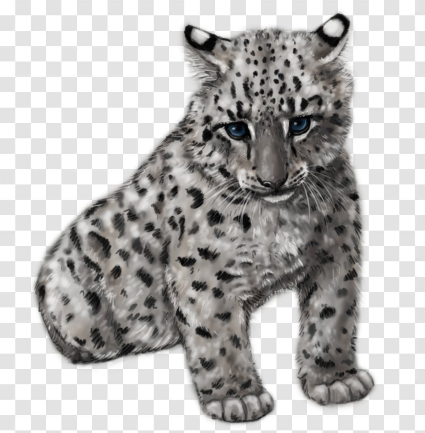 Tiger Snow Leopard Felidae Amur Drawing - Leopards Transparent PNG