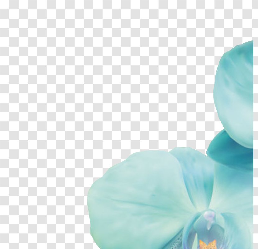 Blue Turquoise Sky Wallpaper - Floral Decoration Transparent PNG