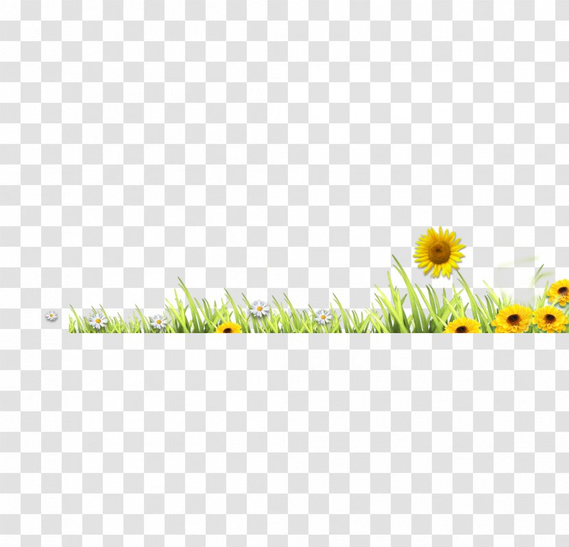 Meadow Grass Lawn - Green - Flowers And Material Transparent PNG