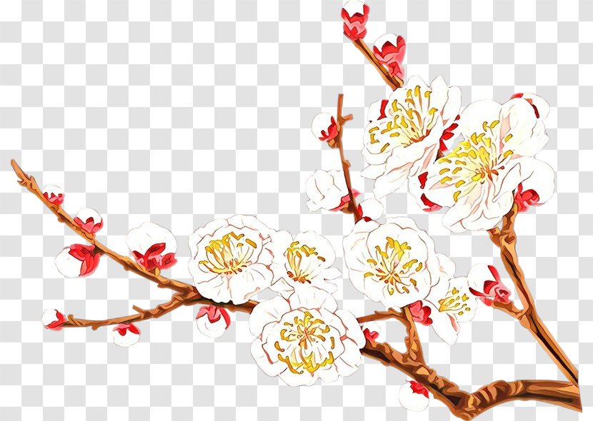 Branch Plant Flower Blossom Twig - Perennial Transparent PNG