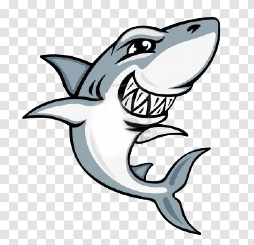 Shark T-shirt Royalty-free Illustration - Great White - Barracuda Clipart Transparent PNG