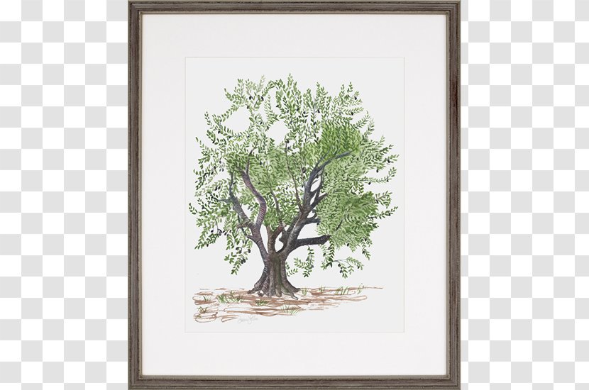 Painting Olive Trees Picture Frames Printing Transparent PNG