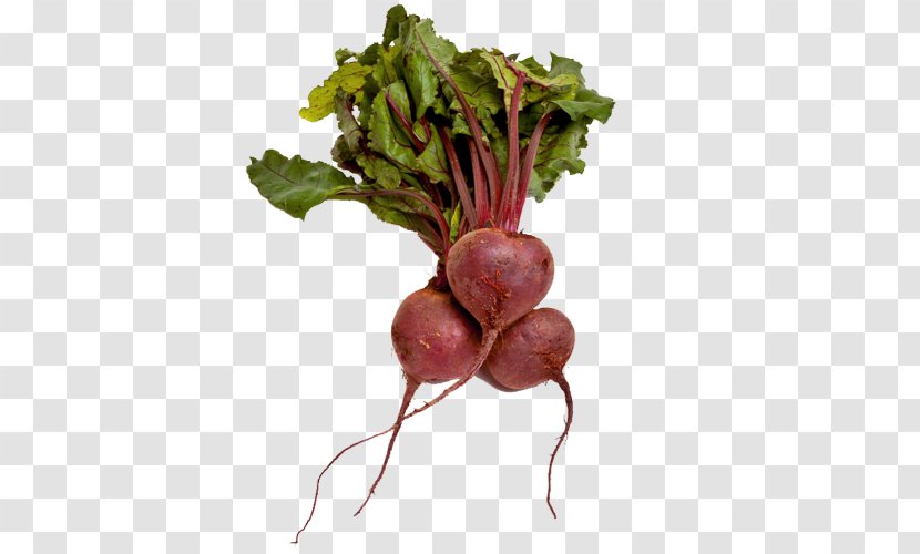 Chard Beetroot Vegetarian Cuisine Organic Food Vegetable - Rutabaga Transparent PNG