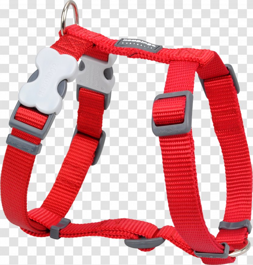 Dog Harness Dingo Collar Horse Harnesses - Leash - Red Transparent PNG