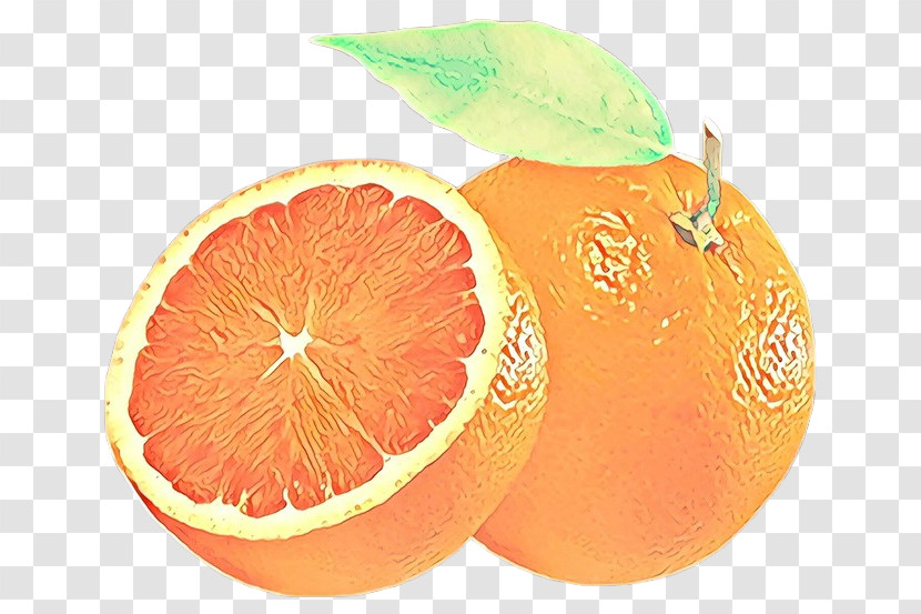 Orange Transparent PNG