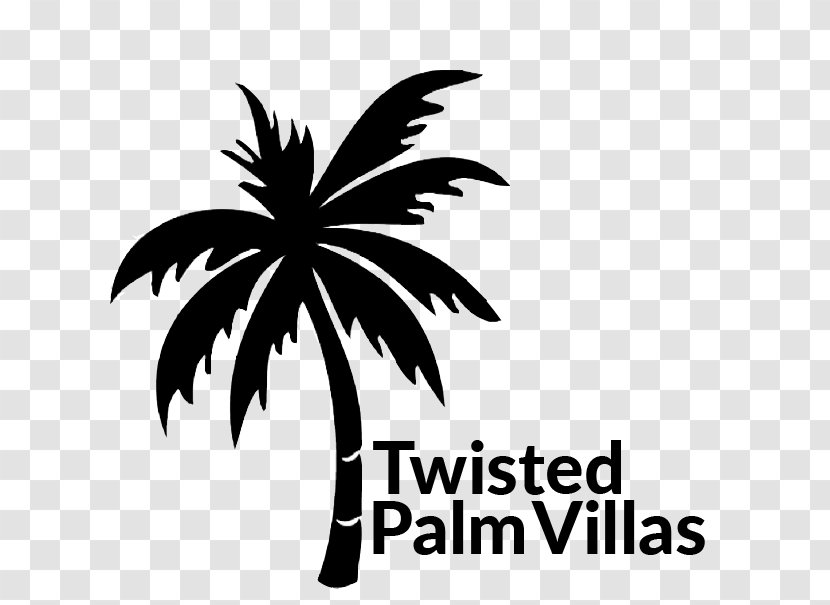 Arecaceae Sea Twisted Palm Villas Beach - Coconut Transparent PNG